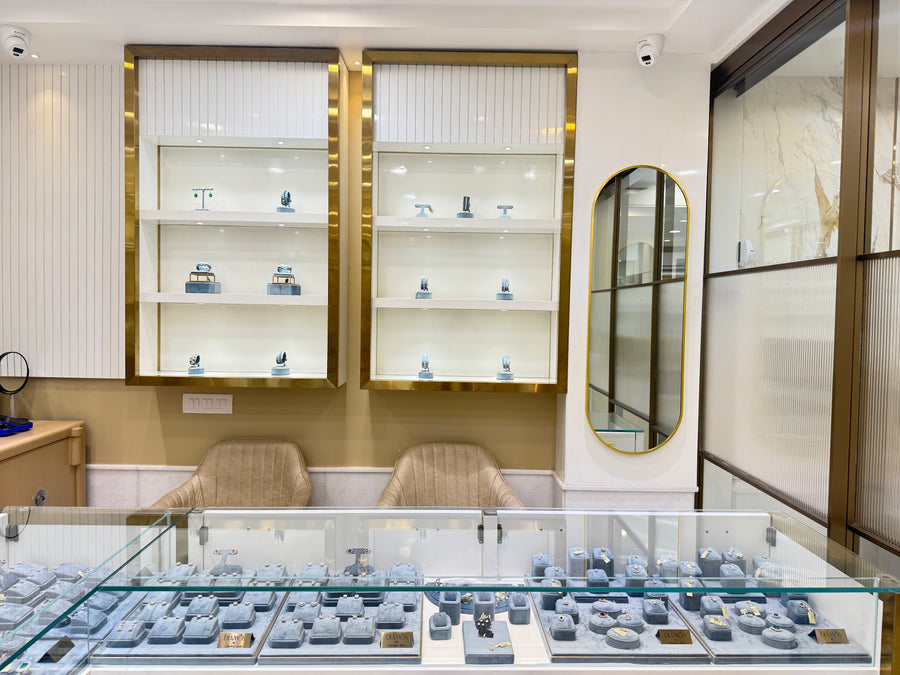 Delhi Store